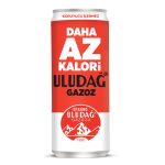 ÇAMLICA SADE SLEEK KUTU 330MLX12