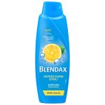 BLENDAX KEPEĞE KARŞI 500MLX12