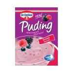 DR. OETKER PUDING ORMAN MEYVELİ 81GRX2X12